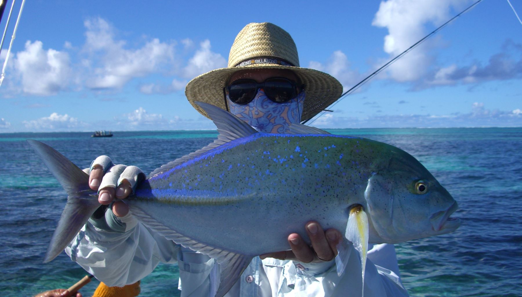 FISH